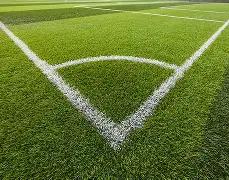 年澳网,新赛季启幕,郑钦文华丽,伟德体育,伟德体育官网,伟德体育平台,伟德体育官方网站