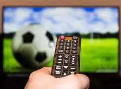 流浪者力克,卢多戈雷茨,迪奥曼德孤,伟德体育,伟德体育官网,伟德体育平台,伟德体育官方网站