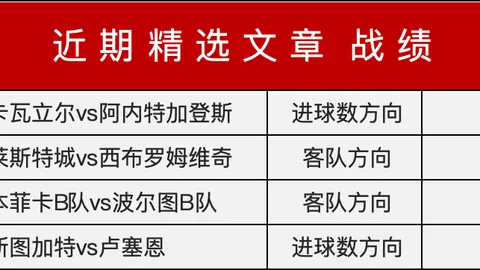 揭秘B费：超越C罗的传球流畅度？揭秘葡萄牙阵容背后的秘密！